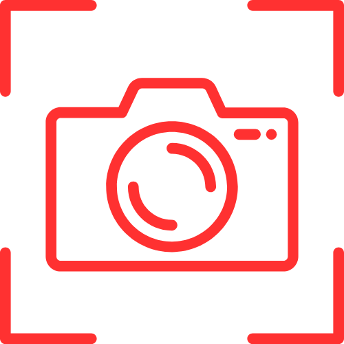 Live Nudes
